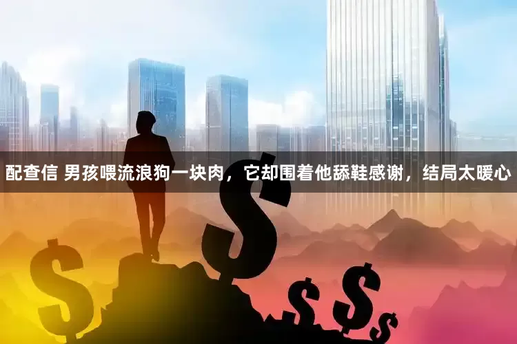 配查信 男孩喂流浪狗一块肉，它却围着他舔鞋感谢，结局太暖心