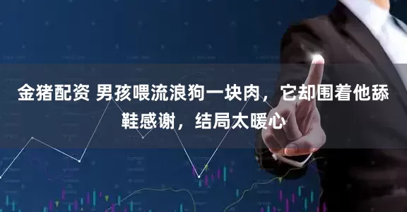 金猪配资 男孩喂流浪狗一块肉，它却围着他舔鞋感谢，结局太暖心