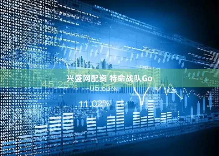 兴盛网配资 特命战队Go